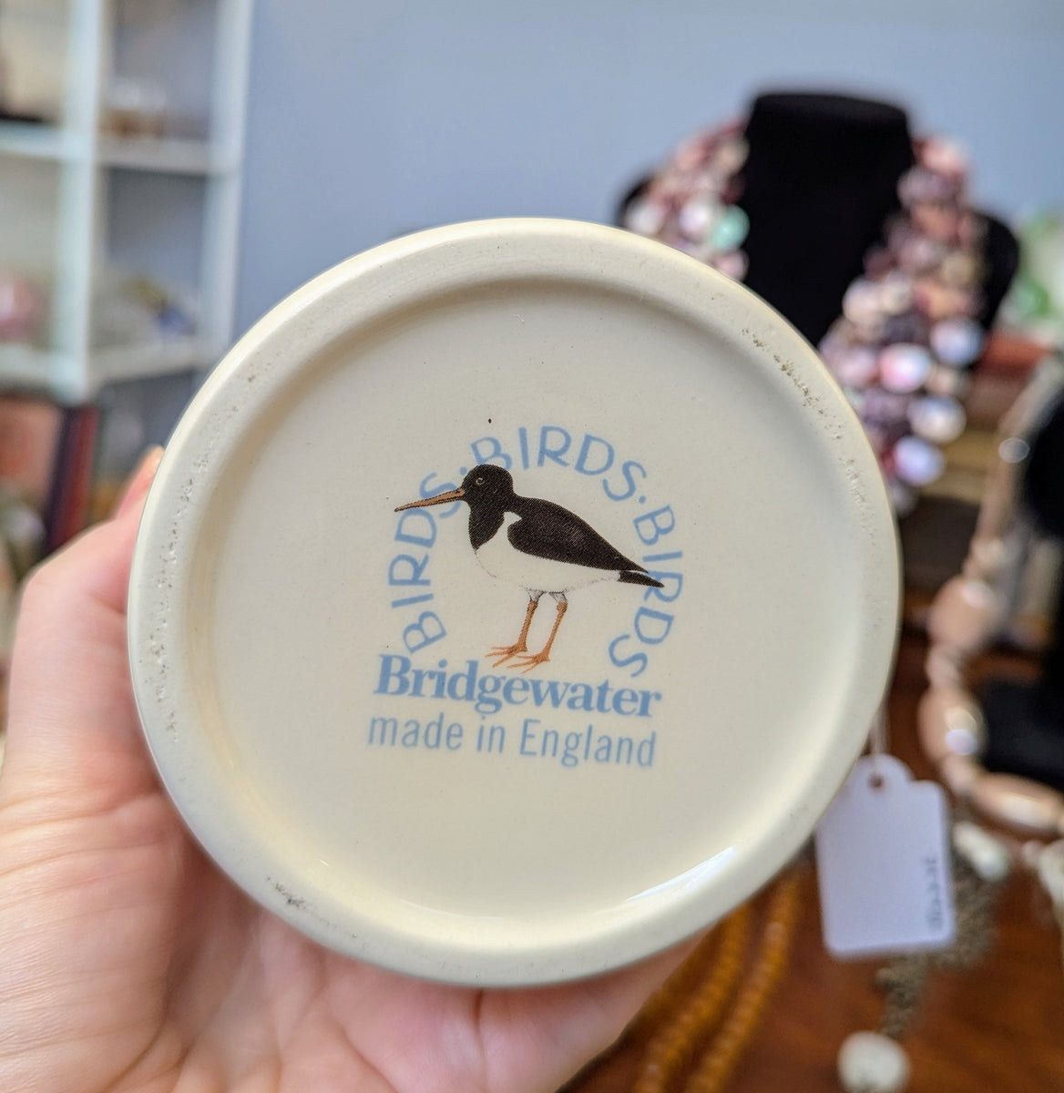 Emma Bridgewater Blue Jay Half Pint Mug - 2nd – Hedgeley Antique