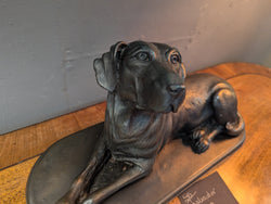 Bronze Labrador