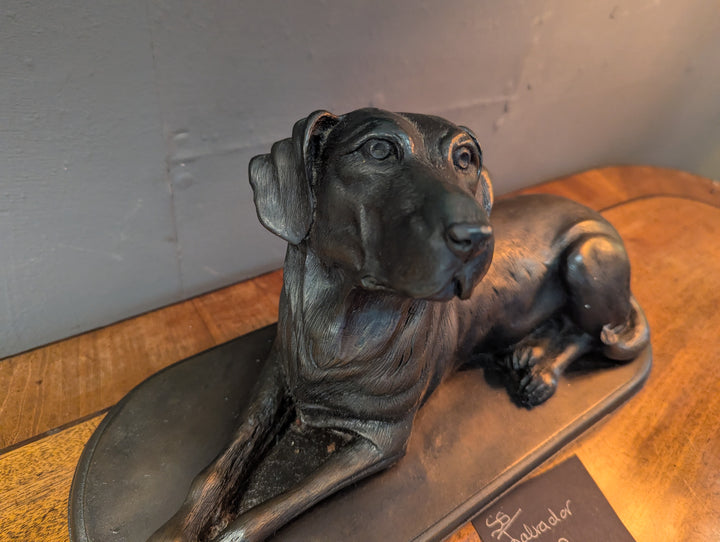 Bronze Labrador